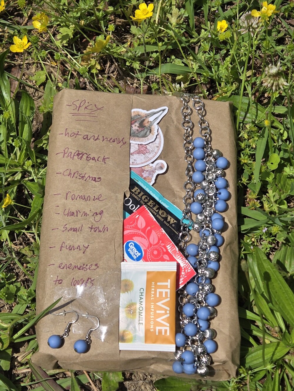 Blind Date With A Book! Includes Jewerly